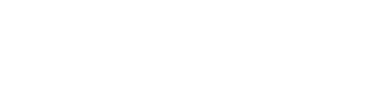 Black Foils SailGP Team